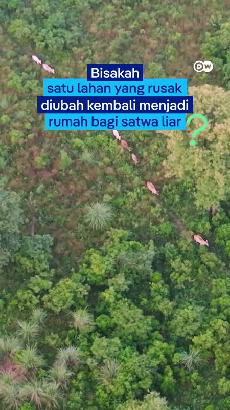 Membeli Lahan Mati untuk Menghidupkan Alam Kembali