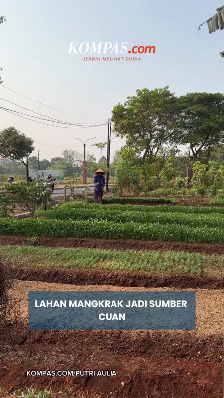 Mantan RW Ini Sulap Lahan Mangkrak Jadi Sumber Cuan