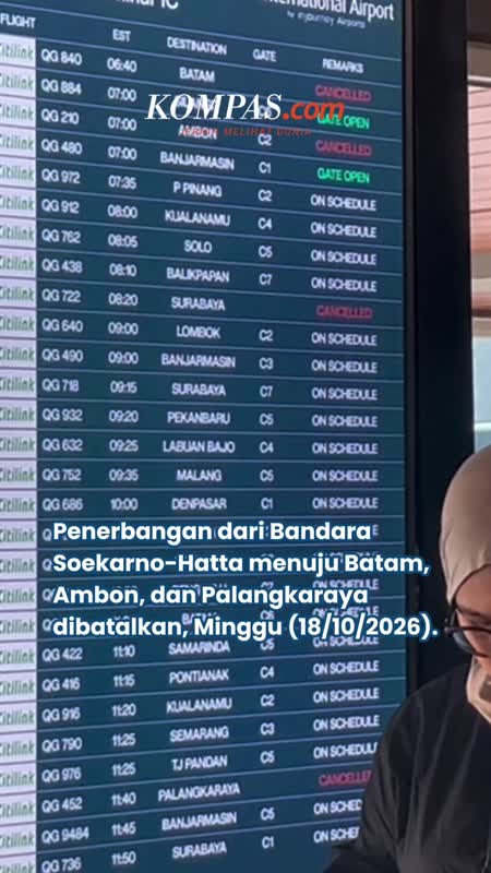 Penerbangan Ke Batam, Ambon, Dan Palangkaraya Dibatalkan Imbas Karhutla