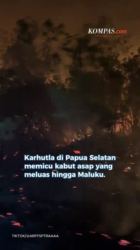 Karhutla Pun Landa Papua, Tak Cuma Ganggu Penerbangan, Tapi Juga Kesehatan