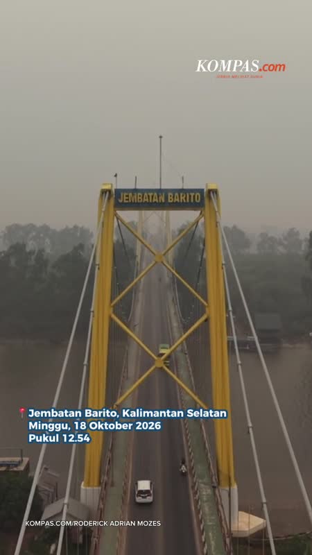 POV: Kalteng dan Kalsel Diselimuti Asap Karhutla