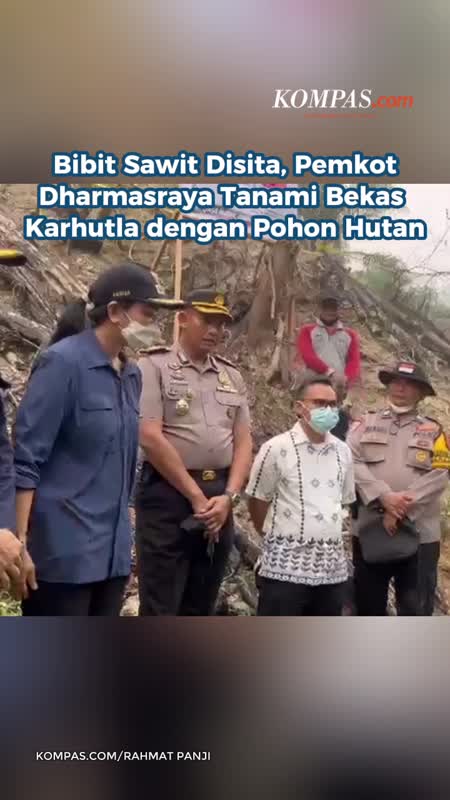 Bibit Sawit Disita, Pemkot Dharmasraya Tanami Bekas Karhutla dengan Pohon Hutan
