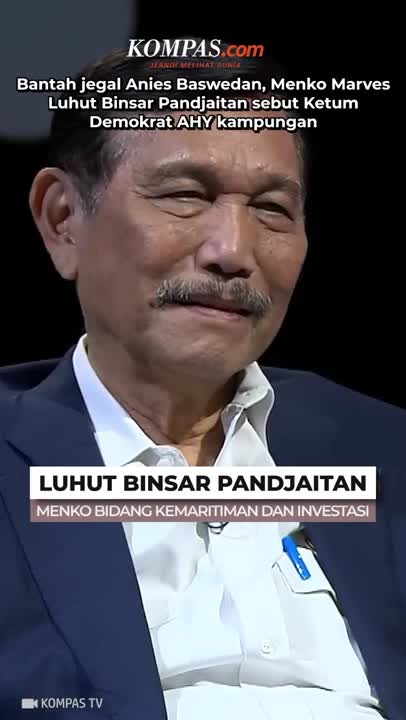 Saat Luhut Sebut AHY Kampungan