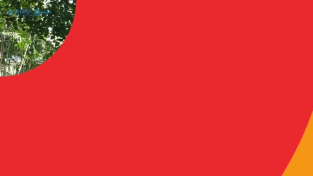 Dewi Perssik Beri Peringatan Keras Yang Membuat Akun Facebook Pro Atas Nama Dirinya