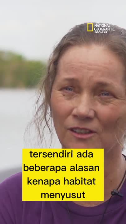 Alasan Pesut Mahakam Semakin Langka