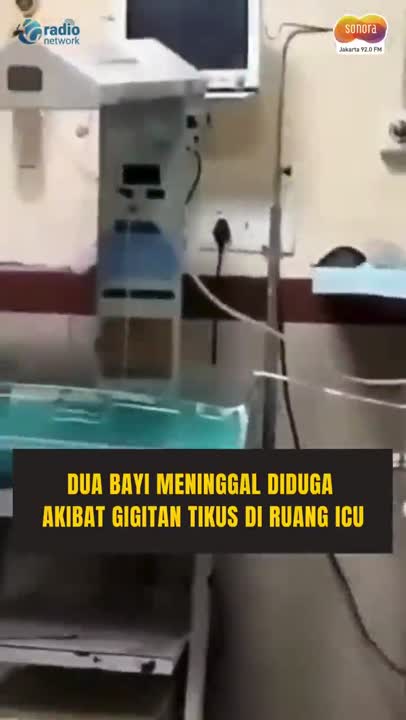 Bayi Meninggal Diduga Digigit Tikus, Keluarga Tuding RS Lalai & Aktivis Desak Investigasi #Shorts