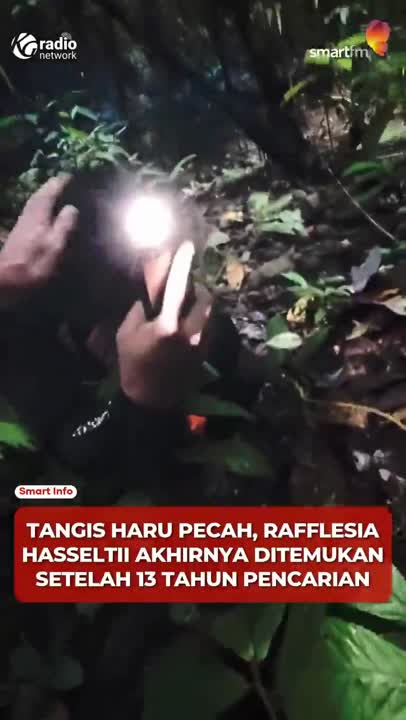 Tangis Haru Peneliti Temukan Kembali Rafflesia hasseltii di Sumbar Usai 13 Tahun Penelusuran #Shorts