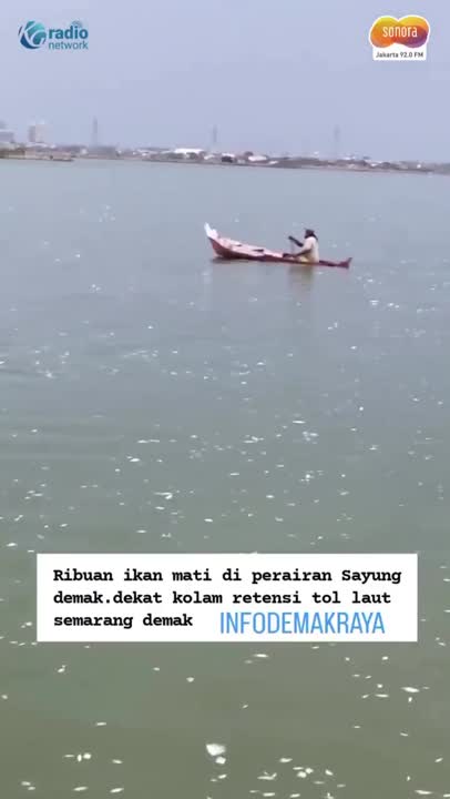 Fenomena Ribuan Ikan Tiba-Tiba Mati di Demak dalam 3 Hari #Shorts