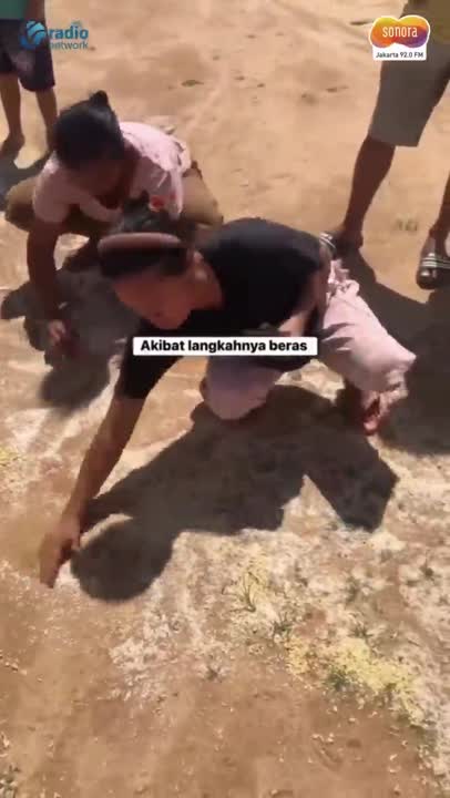 Viral! Bantuan  untuk korban banjir di Tapanuli Tengah dari Helikopter Rusak Saat Mendarat #Shorts