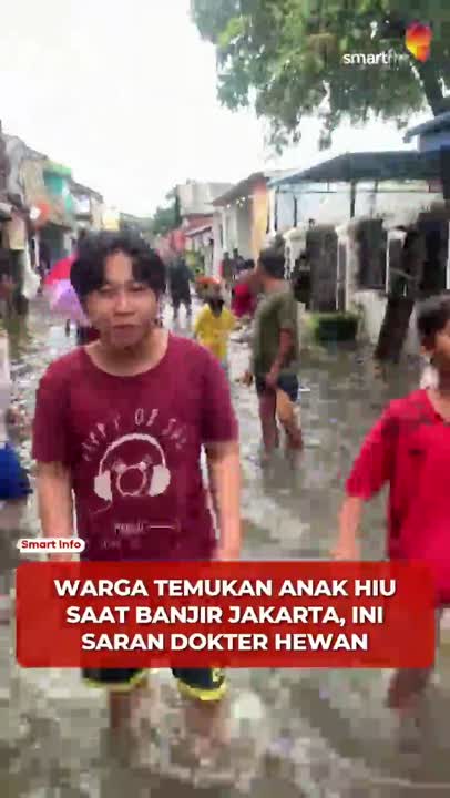 Viral “Anak Hiu” di Banjir Jakarta, Pakar UGM Pastikan Itu Bukan Hiu #Shorts