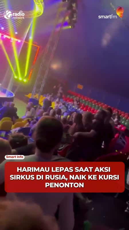 Detik-Detik Harimau Lepas di Sirkus Rusia, Nyaris Serang Penonton #Shorts