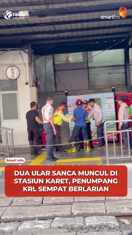 Detik-Detik Evakuasi Ular Sanca 2 Meter di Stasiun Karet #Shorts