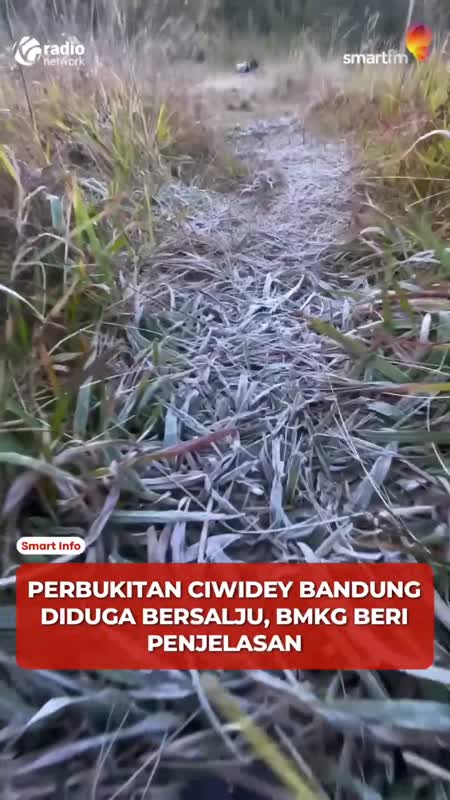 Bukit Ciwidey Bak Diselimuti Salju, BMKG Sebut Embun Upas #Shorts