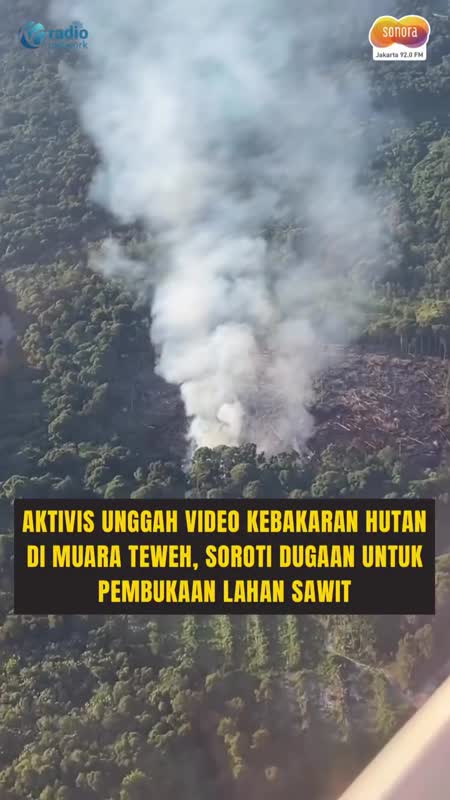 Hutan Muara Teweh Terbakar! Aktivis Soroti Dugaan Pembukaan Lahan Sawit #Shorts