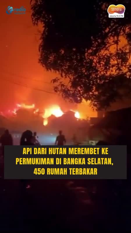 450 Rumah Terbakar akibat Karhutla yang Merembet ke Permukiman di Bangka Selatan #Shorts