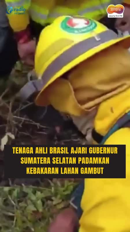 Tenaga Ahli Brasil Ajari Herman Deru Padamkan Api di Lahan Gambut #Shorts