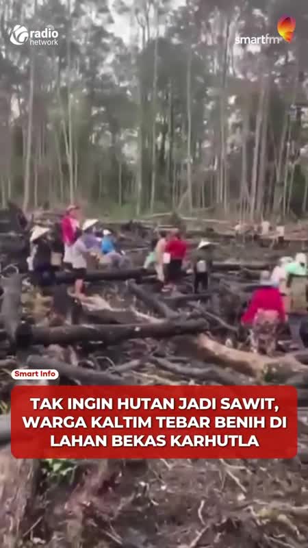 Cegah Jadi Sawit, Warga Kaltim Tebar Benih Pohon #Shorts