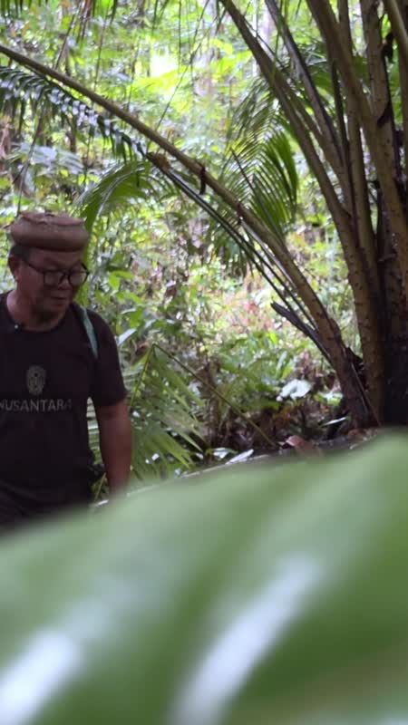 TATO DAYAK 2 - EPS 5