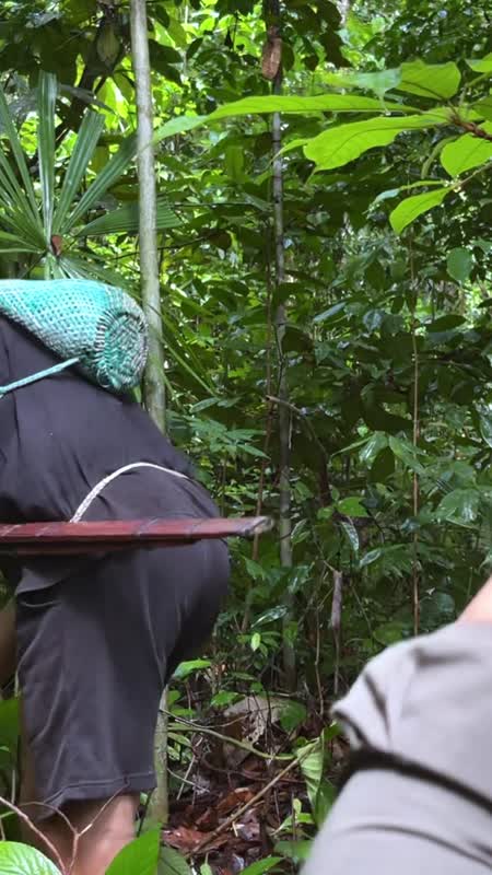 TATO DAYAK 2 - EPS 7