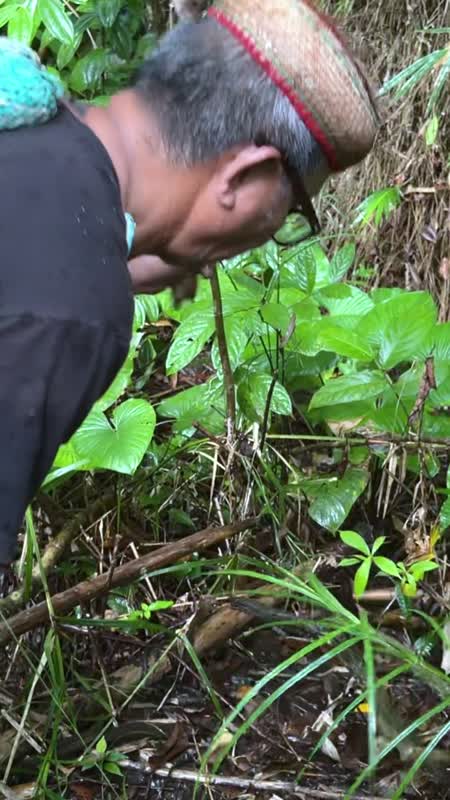 TATO DAYAK 2 - EPS 6